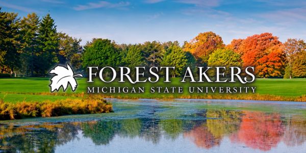 forestnew